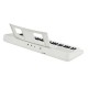 Yamaha EZ-310 61-key Portable Arranger with Lighted Keys