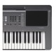 Yamaha PSR-I300 61-Key With Indian Styles Yamaha PSR-I300 61-Key With Indian Styles