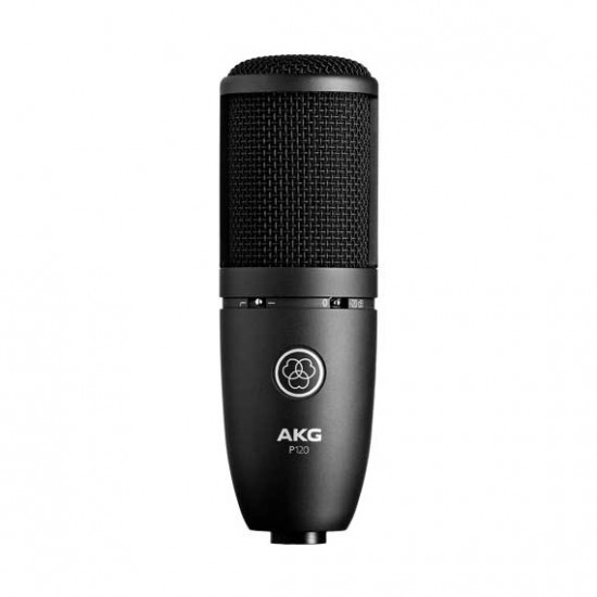 AKG P120 Professional Instrumental Microphone
