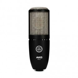 AKG P220 Professional Large-dual-Diaphragm True-Condenser Microphone.