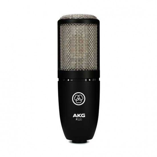 AKG P220 Professional Large-dual-Diaphragm True-Condenser Microphone.