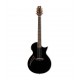 ESP LTD TL-6 Thinline Acoustic Guitar, Black Finish