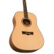 Peavey Delta Wood. DW-1 Dreadnaught Acoustic Guitar with Bag