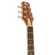Peavey Delta Wood. DW-1 Dreadnaught Acoustic Guitar with Bag