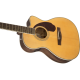 Fender Paramount PM-3 Triple-0 Standard Electro-Acoustic Guitar 0970333321 - Natural