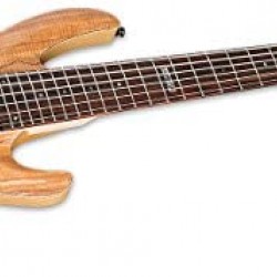 ESP LTD B205 SM Bass Guitar -Natural