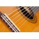 Yamaha CX40 Full Size Electro Nylon Classical Guitar - Natural