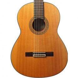 Washburn C40USM Classical Series Acoustic Guitar