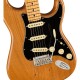 Fender American Professional II Stratocaster in Roasted Pine with Maple Fingerboard, Includes Deluxe Molded Case