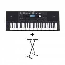 Roland E-X20 Arranger Keyboard with Free Stand