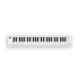 Blackstar BA203012 Carry On 49 key Folding Piano Blackstar BA203012 Carry On 49 key Folding Piano