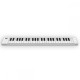 Blackstar BA203012 Carry On 49 key Folding Piano Blackstar BA203012 Carry On 49 key Folding Piano