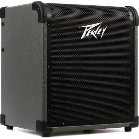 Peavey Max-100 Guitar Bass Amp