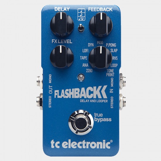 TC Helicon Flashback Delay And Looper Pedal
