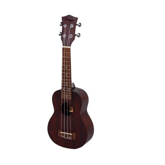 Fzone FZU-110S 21 Inch soprano ukulele Chocolate with Bag