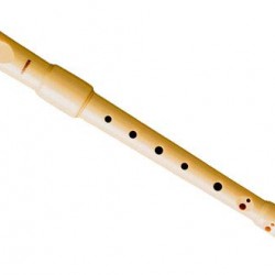 Hohner B9517 Melody C Descant Recorder Flute